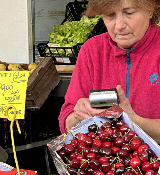 Outdoor Market POS Solution