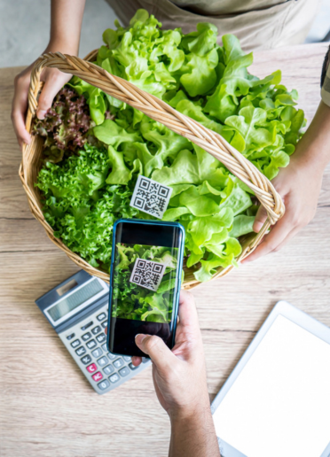 QR Code Scanner Buying Hydroponics Vegetables on Basket Farmers Market